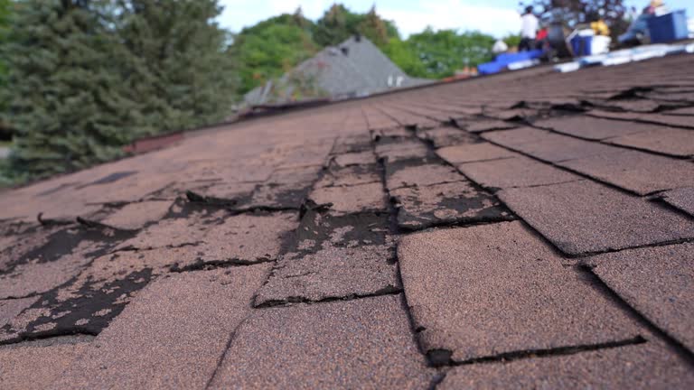 Best Asphalt Shingles Roofing  in Woodville, CA