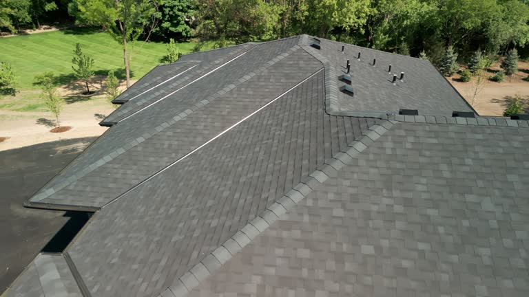 Best Solar Panel Roofing Installation  in Woodville, CA